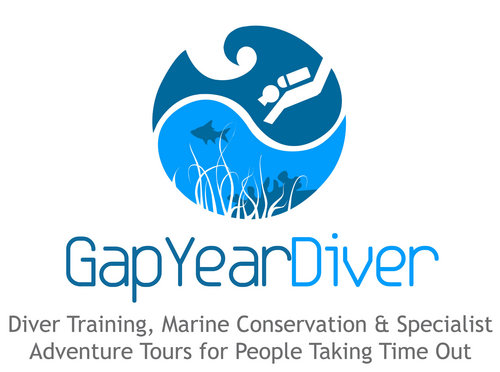 GapYearDiver's profile picture. The #1 dive operator for gap year and career break scuba diving trips