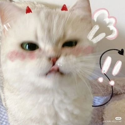 happygo71588152's profile picture. stuDYING