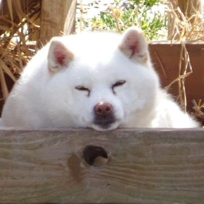 勉強垢です。
ツイッター初心者です。
趣味多すぎて時間が足りません。
卓球部です。ロックが好きです。写真好きです。
工学系の四年生です。
1年後に受験控えてます。