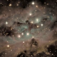 Astromurcia (@aarm_oficial) 's Twitter Profile