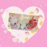 se1utaaka's profile picture. ♡成人済♡声優さん♡i7*双子♡A3*紬くん♡あんスタ*凛月/真緒くん♡SideM*High×Joker/Beit/百々人くん♡ツキウタ*年少組/ツキプロ*SolidS/SOARA♡嵐/NEWS♡ぬい♡すきなものをすきなだけつぶやいてる雑多垢♡無言FollowはFRBしません♡kanto♡時々お取引♡