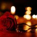 dalihalrameh (@dalihalrameh1) Twitter profile photo dalihalrameh (@dalihalrameh1) Twitter profile photo