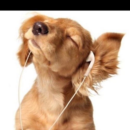 QuotesnNews's profile picture. love @deefizzy 3 crazy about big time rush addicted to youtube