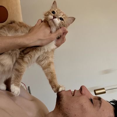 tashega's profile picture. игрок