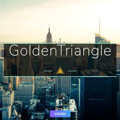 GoldenT00424833's profile picture. 