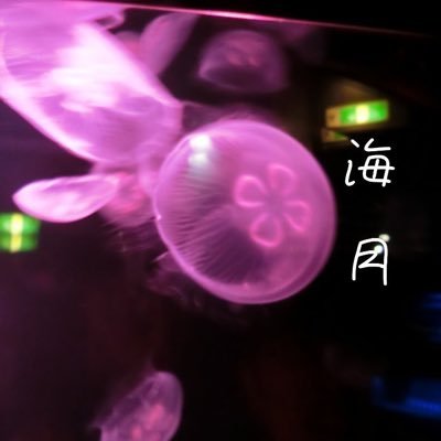 くらげさんのプロフィール画像