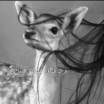 almath96's profile picture. …..