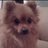 Moura_Bierzo's profile image