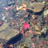 달님 (@moonim82) 's Twitter Profile Photo