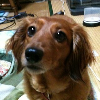 mamamizo's profile picture. 永遠の18歳