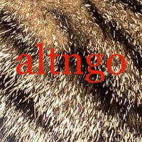 altngo(@altngo) 's Twitter Profile Photo