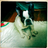 cerise_bulldog's profile image