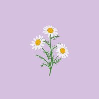 ريُـوف الخـير -رحِمها الله-🕊 (@ryoof_az1) 's Twitter Profile
