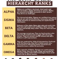 Alphas are kings (@alphaefc) 's Twitter Profile