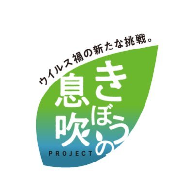 niigata_ibuki Profile Picture