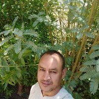 dalih (@dalihabdelmohs1) 's Twitter Profile