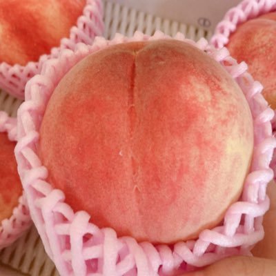 TaroNarihira's profile picture. 成人済。