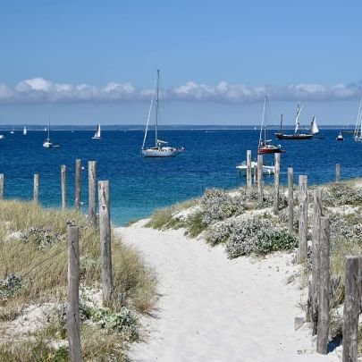 B_B7575's profile picture. #teacher
#JaimeLesFraises