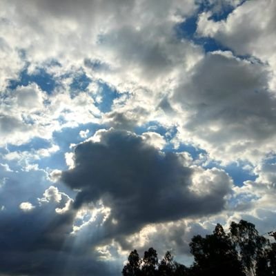 Blackthunder779's profile picture. Decentralised Finance Solution