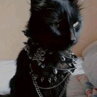 Dystopia. (@avernxs_) 's Twitter Profile Photo Dystopia. (@avernxs_) 's Twitter Profile Photo