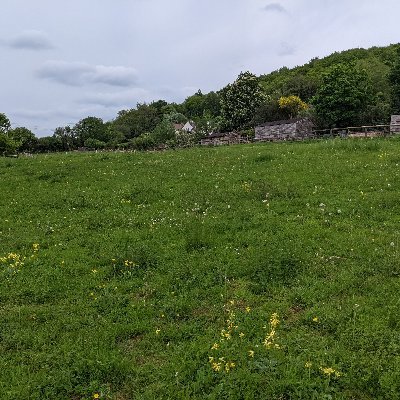 Local Community Market Gardens - we're a CIC developing a community of food growing initiatives. Hands on growing, passionate about food and the environment.