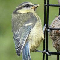 EllaRosePhotography (@printcandysue) 's Twitter Profile