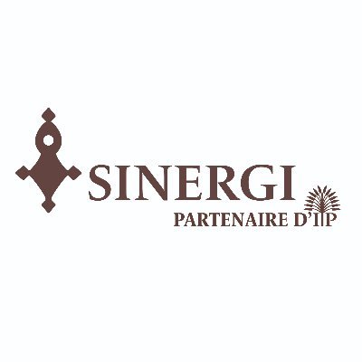 SINERGI NIGER