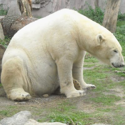 Andi_Raps's profile picture. Mich