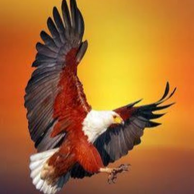 i_uditchaudhary's profile picture. Biotechnologist