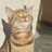 moonyalmond's profile image