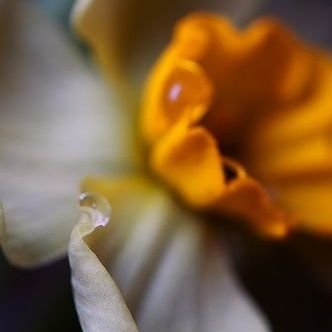 Raw3aAbdulbaset's profile picture. 