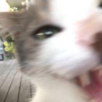 Carlos (@carlosrl00) 's Twitter Profile Photo Carlos (@carlosrl00) 's Twitter Profile Photo