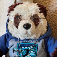 Sid-the-Panda (@sidthepanda1) 's Twitter Profile Photo Sid-the-Panda (@sidthepanda1) 's Twitter Profile Photo