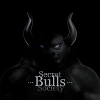 Secret Bulls Society(@SecretBullsNFT) 's Twitter Profile Photo