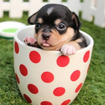 shysub16's profile picture. Im just a shy Perth WA Finsub that loves findom games especially flash RT games