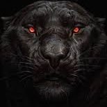 iammarco75's profile picture. 