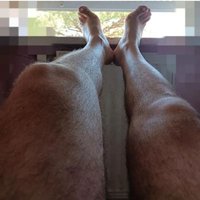 masteralex89 (@masteralex89) 's Twitter Profile