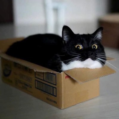 TrintaNut's profile picture. 