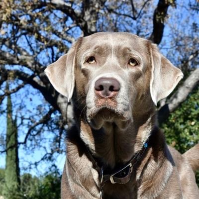 workinggarden1's profile picture. https://t.co/qODwTL8wYj