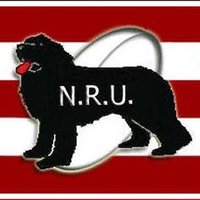 Newfoundland and Labrador Rugby Union(@Rugby_NL) 's Twitter Profile Photo