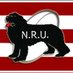 Newfoundland and Labrador Rugby Union (@rugby_nl) Twitter profile photo Newfoundland and Labrador Rugby Union (@rugby_nl) Twitter profile photo