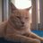7123456Daimaru's profile image