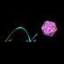 Rainbow Roll Network (@rainbowrollnet) Twitter profile photo Rainbow Roll Network (@rainbowrollnet) Twitter profile photo