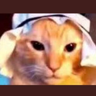 meeronthewall's profile picture. i got dumb bish-itis