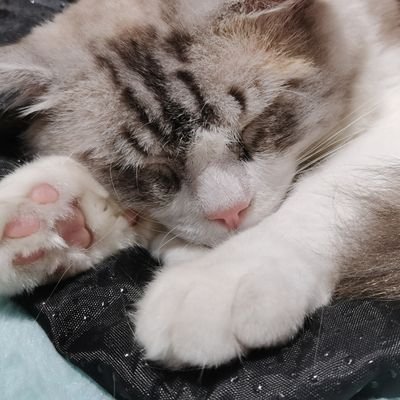 wuchanさんのプロフィール画像