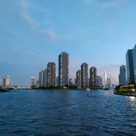 mooaaaaw's profile picture. 