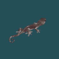 4 (@ktnkk) Twitter profile photo