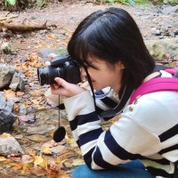 くまちゃん🧸 (@kuma_beartree) 's Twitter Profile Photo くまちゃん🧸 (@kuma_beartree) 's Twitter Profile Photo