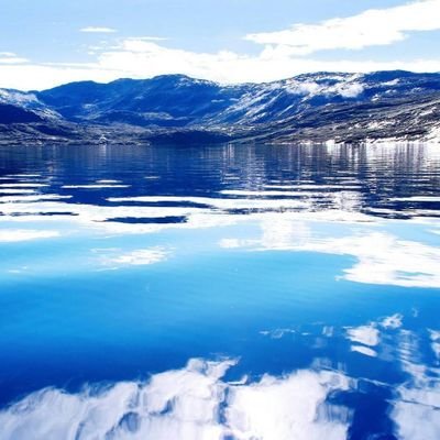 Crypto_Ocean_'s profile picture. Cryptocurrency Research studio