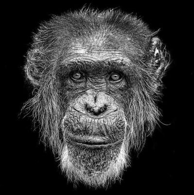 Keabe7swe's profile picture. 